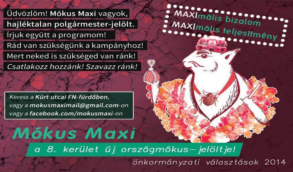 Mókus Maxit polgármesternek