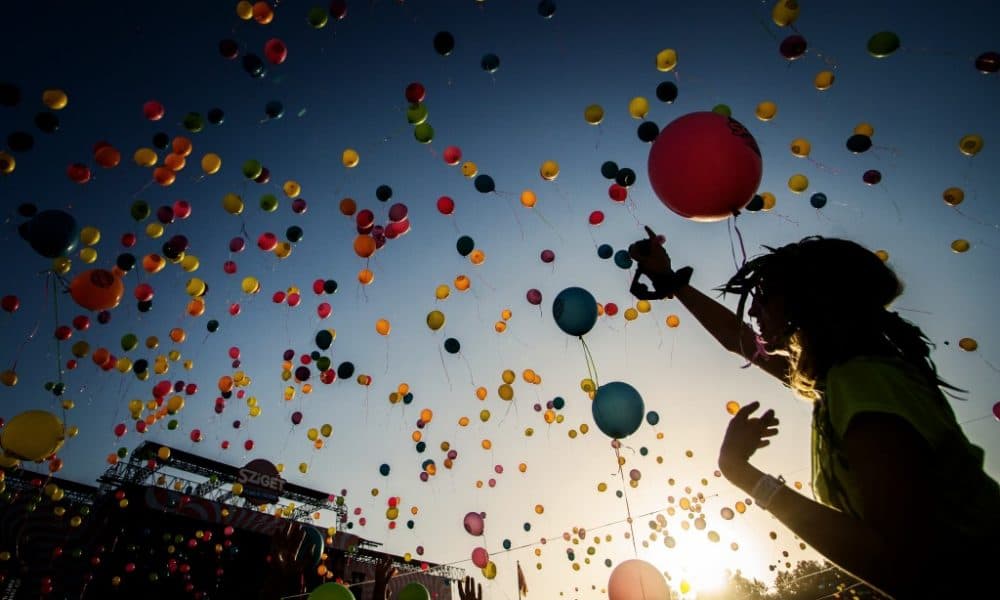 Ilyen a Sziget az alkoholmentes büfépult belső oldaláról