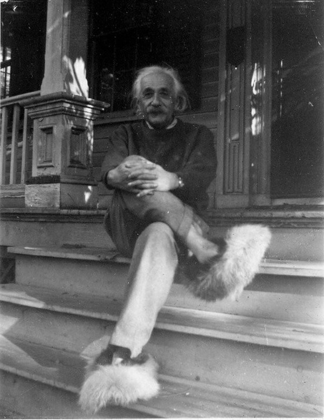 Albert Einstein rocking fluffy slippers. [c. 1950]