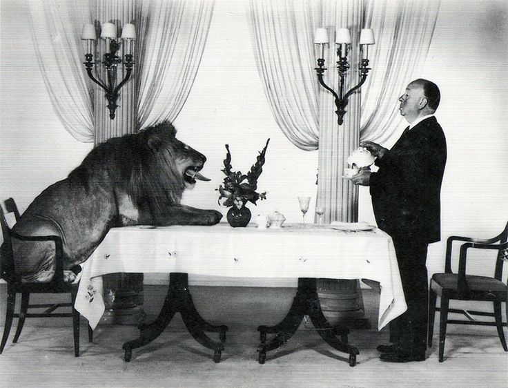Alfred Hitchcock serving tea to the MGM Lion. [1957]