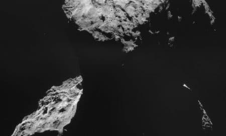 rosetta