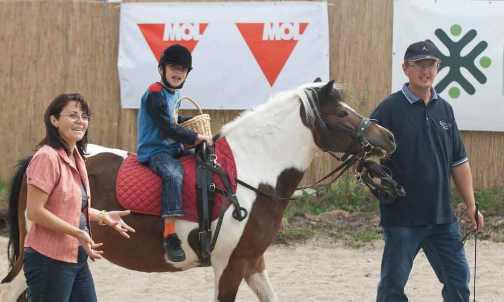 Kiírták a MOL idei gyermekgyógyító pályázatát