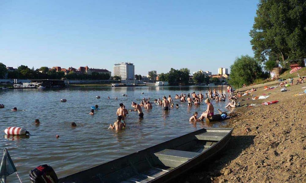 Blokkhajítás, gumiégető bemutató és pajzán show Szegeden