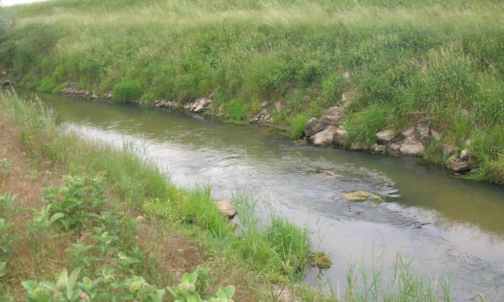 II. Lajos nem nem fulladt a Csele patakba vagy nem az ő holttestét temették el