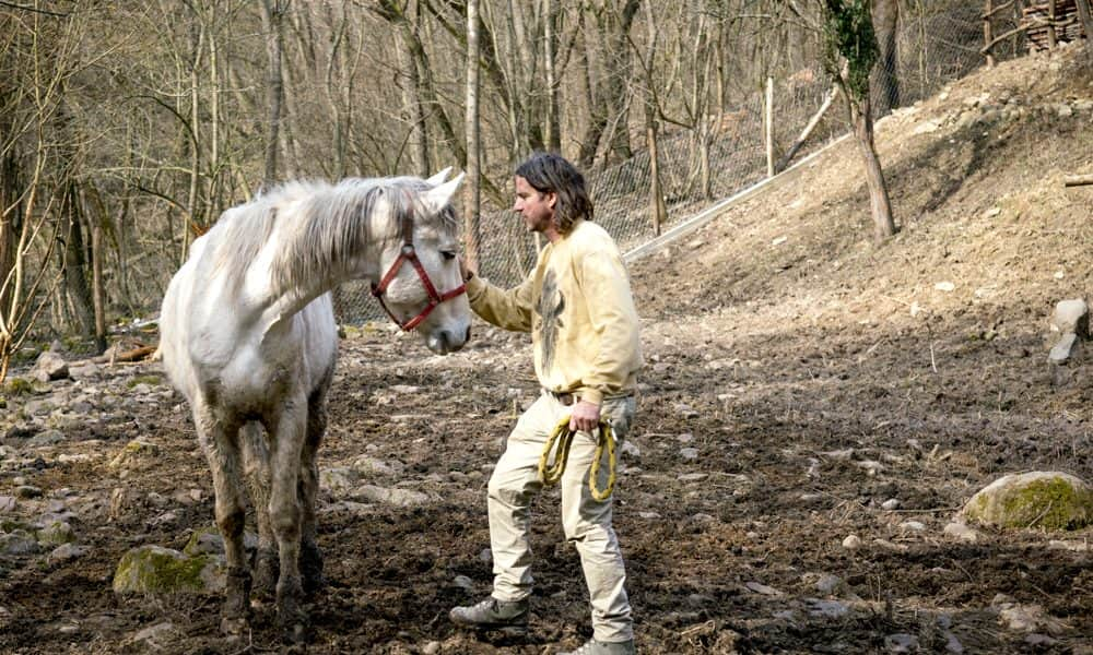 A vadász meg a farkas és az életszeretet melakólikus, őrült szövevénye