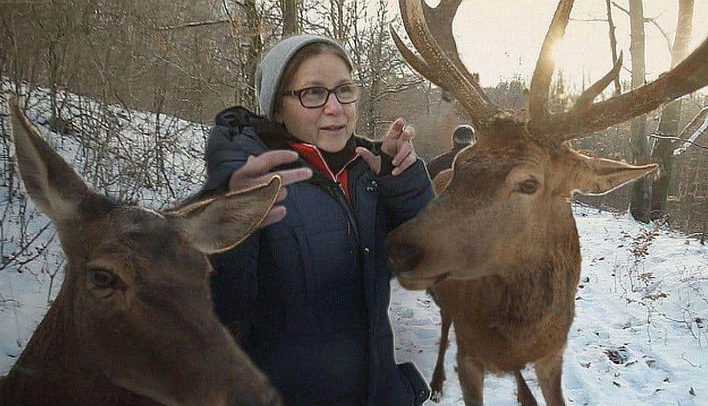 Enyedi Ildikó: A film olyan, mint egy gyerek. Fel kell nevelni