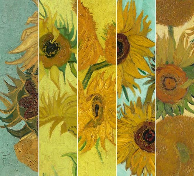 Szenzációs tárlat: Van Gogh öt napraforgós festményét mutatja be egy leszármazottja