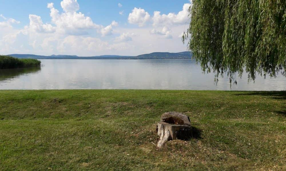 Az idei Balaton számokban