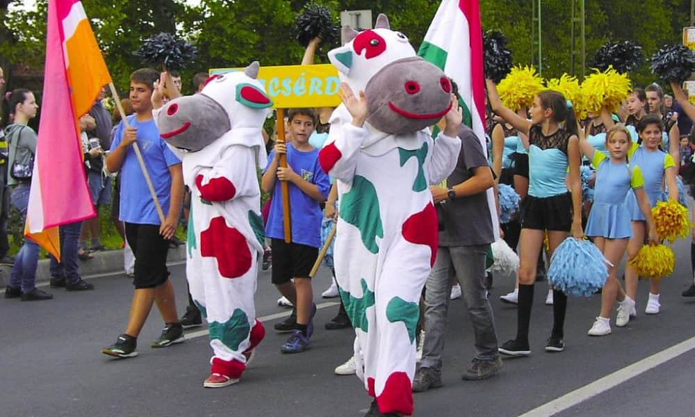 Mi történik titokban a Balatonboglári Szüreti Fesztivál alatt?