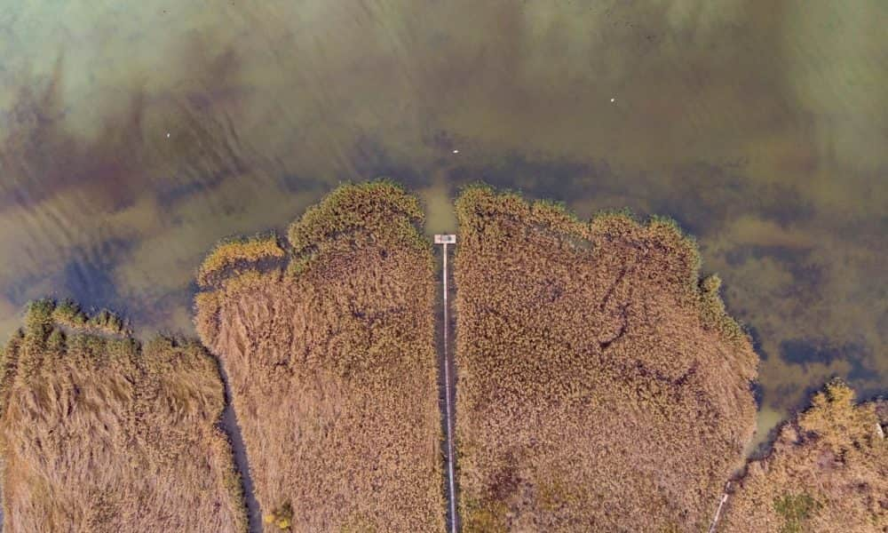 A nap fotója: Fonyódon a Balaton felülről