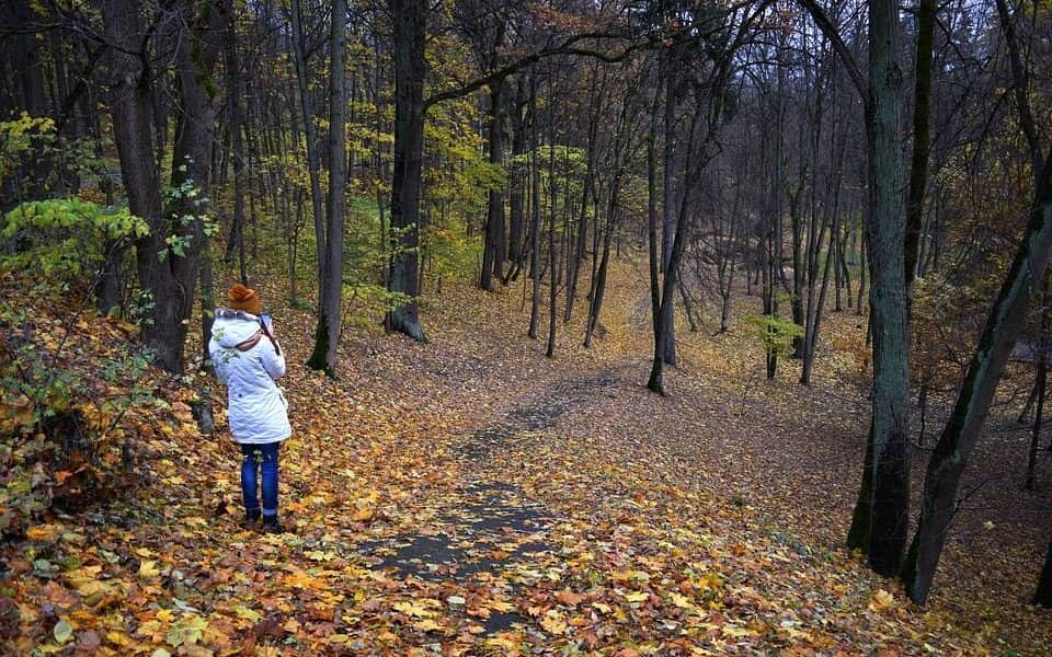 Botrányos perszónák: Utolsó kívánság