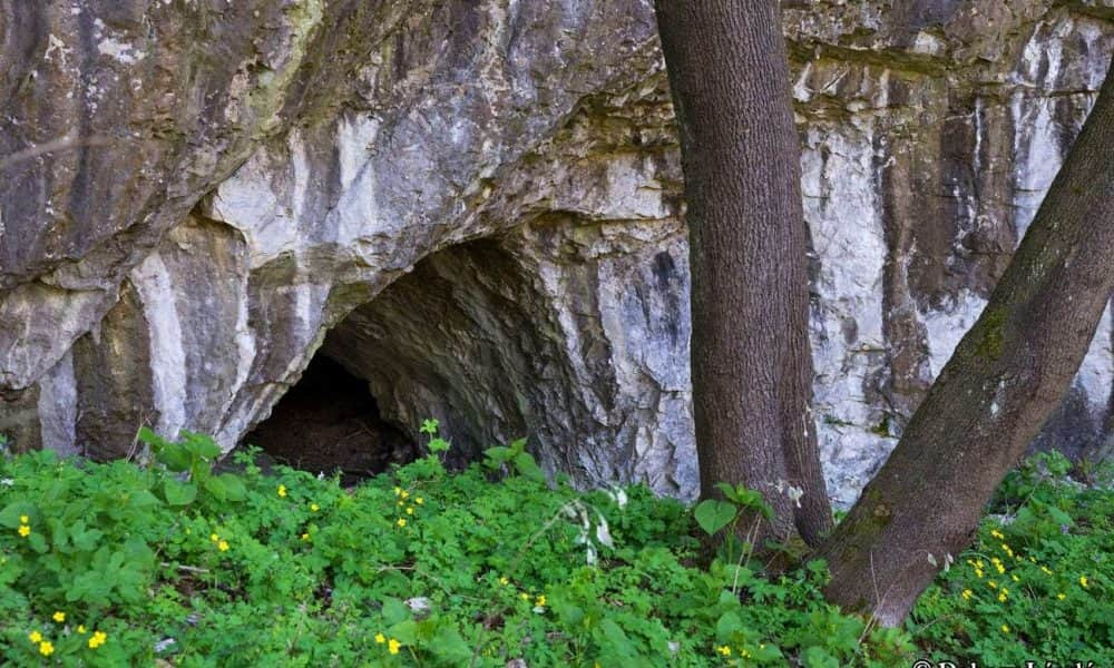 Az ősemberek átaludták a hideg teleket, mint a medvék