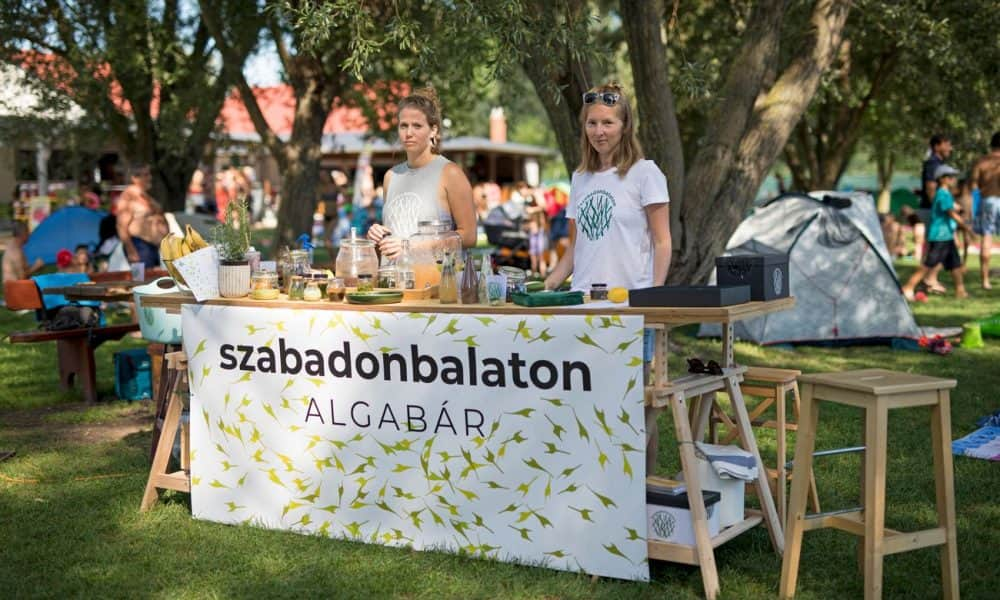 Iszapkoktél, algafröccs és algafagyi a Balaton-parton