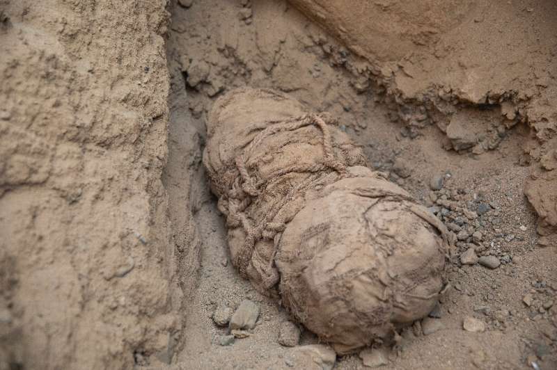 Feláldozott gyerekek múmiáira bukkantak