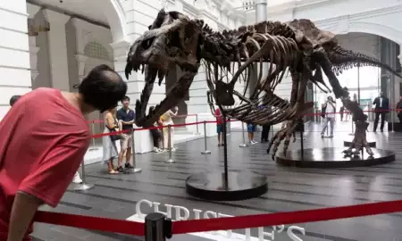 dinoszaurusz