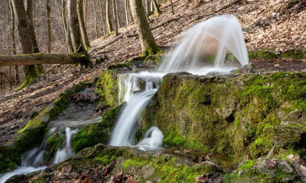 A nap fotója: Kitört egy időleges karsztforrás a Bükkben