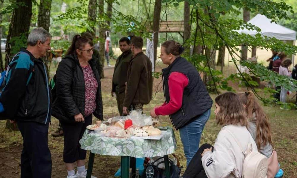 Egyszerre három helyen is Muzsikál az erdő