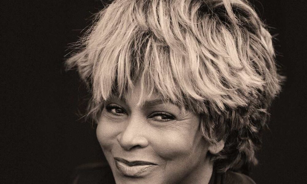 Tina Turner emlékkoncert, az énekesnőről készült festmény árverésével