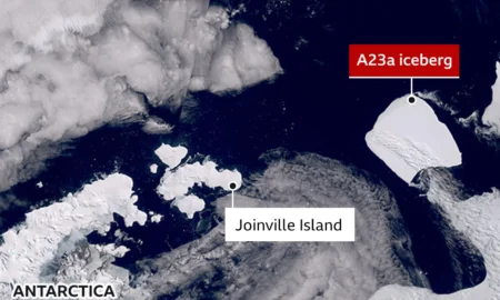 A23a