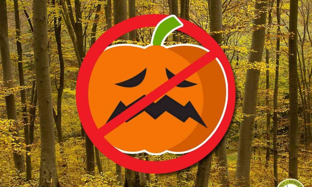 A halloween tök nem való a természetbe!