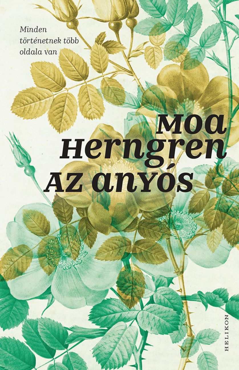Izgalmas történet Az anyós társaságában