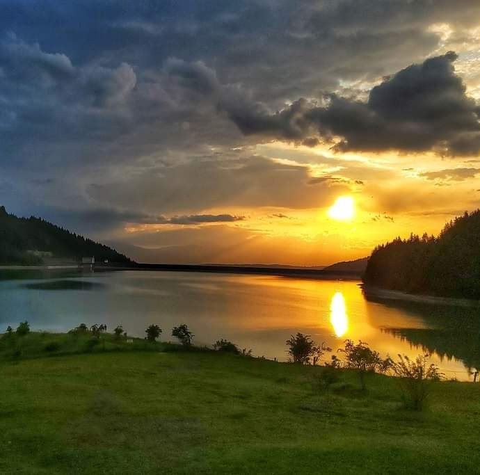 Medve elől menekülve fulladt a tóba a 18 éves turista