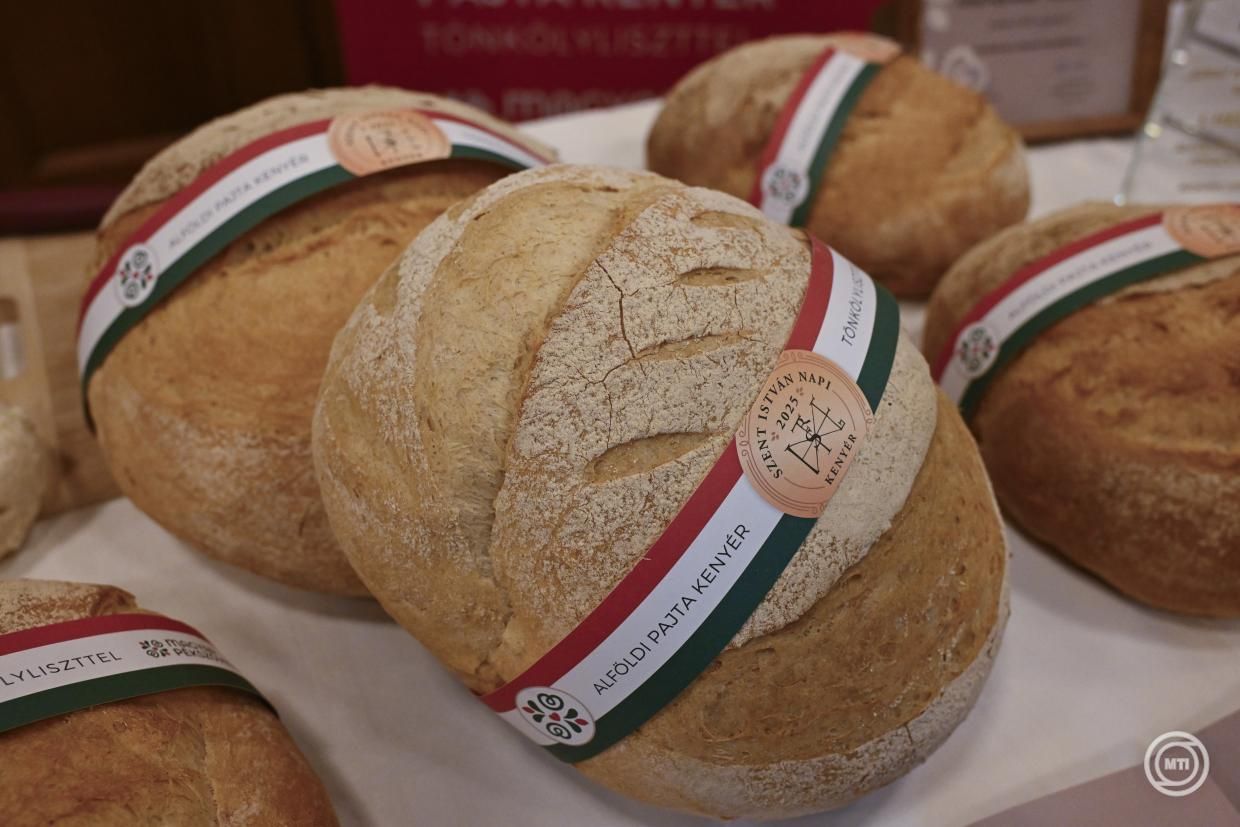 Így készül a díjnyertes Alföldi Pajta kenyér