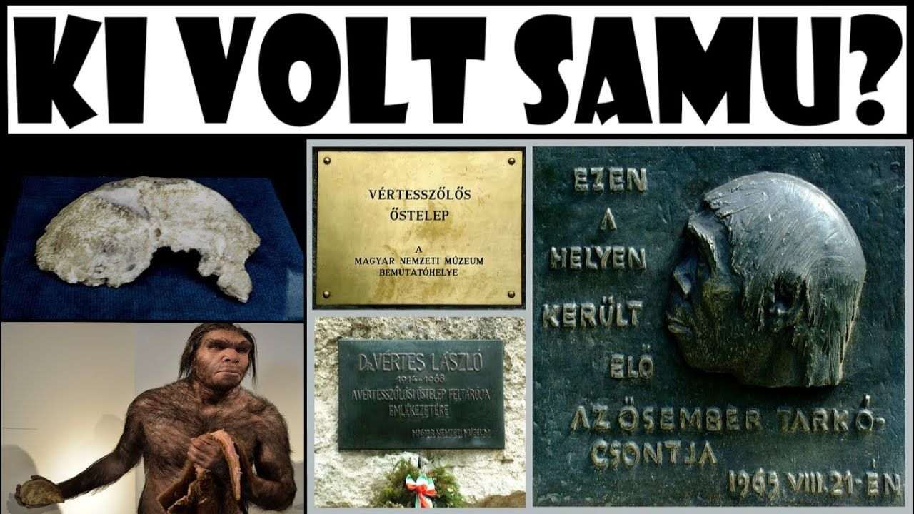 60 éve találták meg a 320 ezer éves Samu koponyáját Vértesszőlősön
