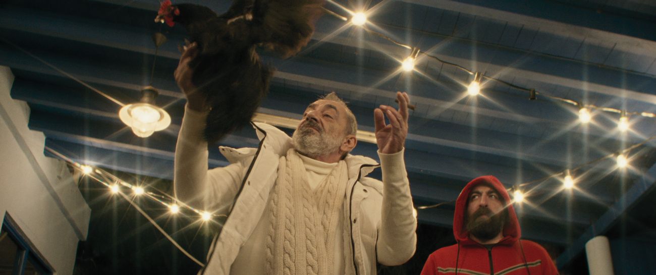 Pálfi György: Valódi tyúkokkal forgattunk, semmilyen trükköt nem használtunk