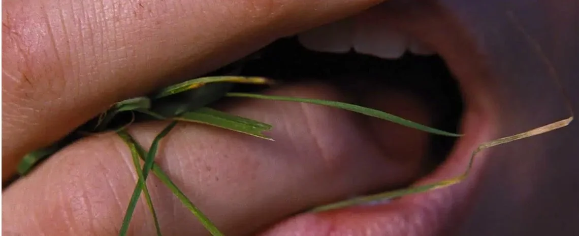 Erotikusan túlfűtött az Üvöltő szelek első előzetese is