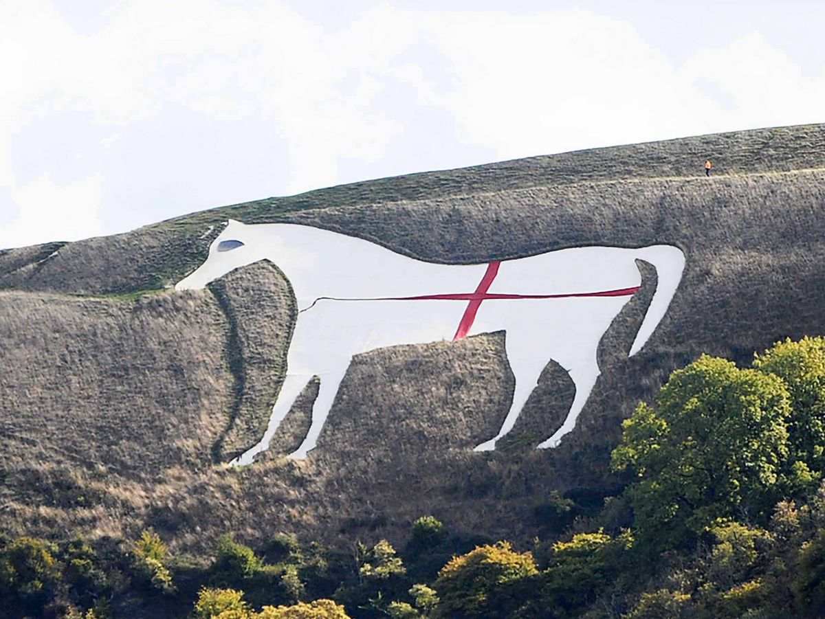 Rejtélyes módon kapott vörös keresztet a 350 éves, 53 méter hosszú westburyi fehér ló