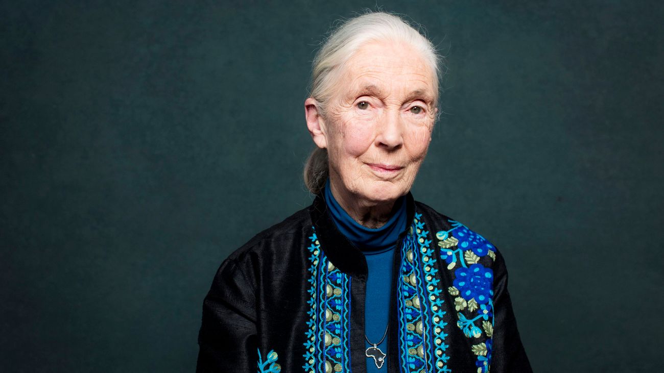 Elhunyt a fáradhatatlan Jane Goodall természetkutató