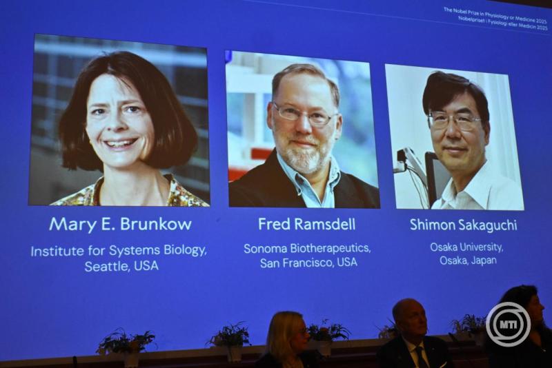 Azonosították az immunrendszer őreit – 3 orvosi-élettani Nobel-díj jár érte