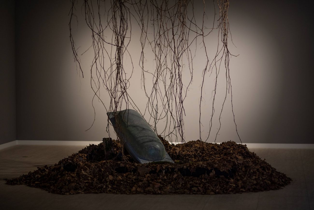 Ez a 12 képzőművész a kitaposott ösvényen túl, az ismeretlen megnyugtató sötétségébe vezet