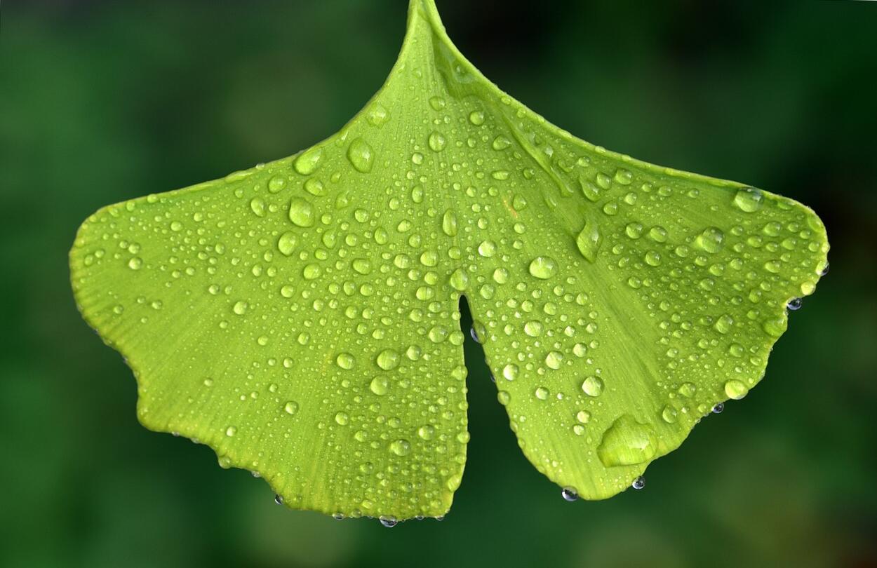 Teljesítmény és nyugalom: hogy lehet megtalálni az egyensúlyt?