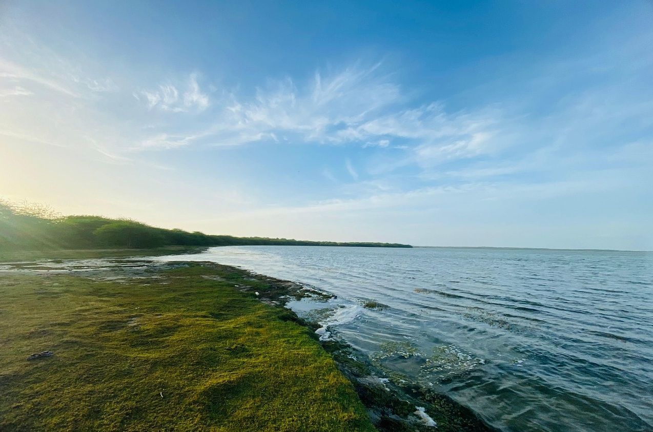 Vannak esték, amikor átalakul a világ