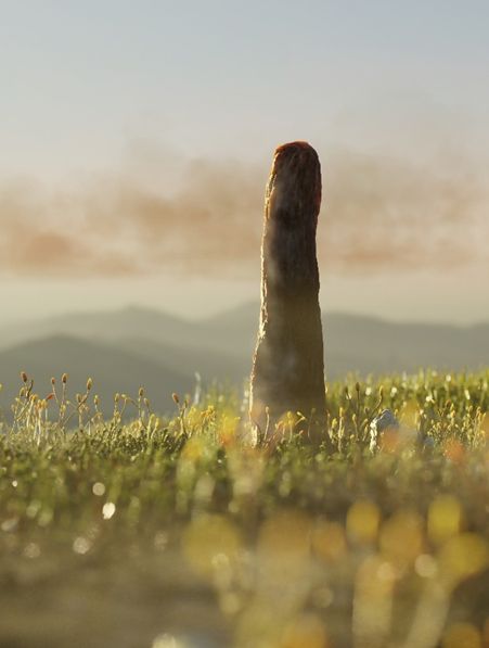 Egy eddig ismeretlen, teljesen kihalt életforma a kanadai partvidéken – Prototaxites