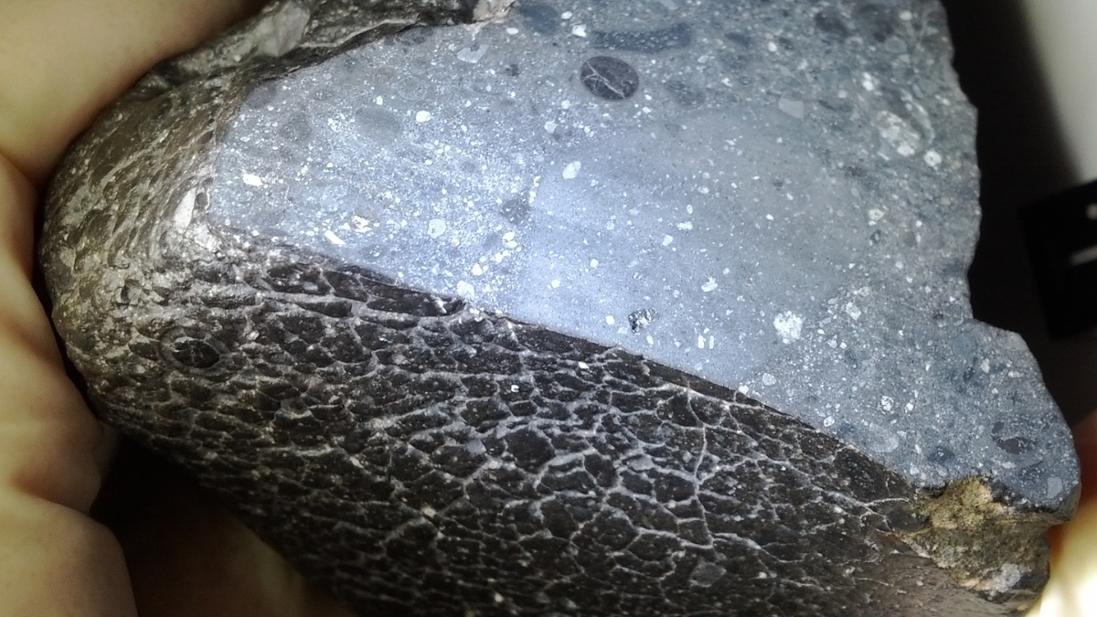 Meglepetést hozott a Black Beauty marskőzet vizsgálata